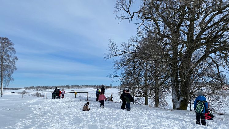 Pressmeddelande: Naturlänken ger 1000 barn möjlighet att få se 15 000 tranor