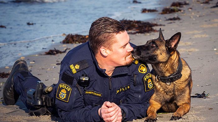 Årets polishund 2019 Bella med förare Tobias Hjalmarsson. Foto: Anders Roos