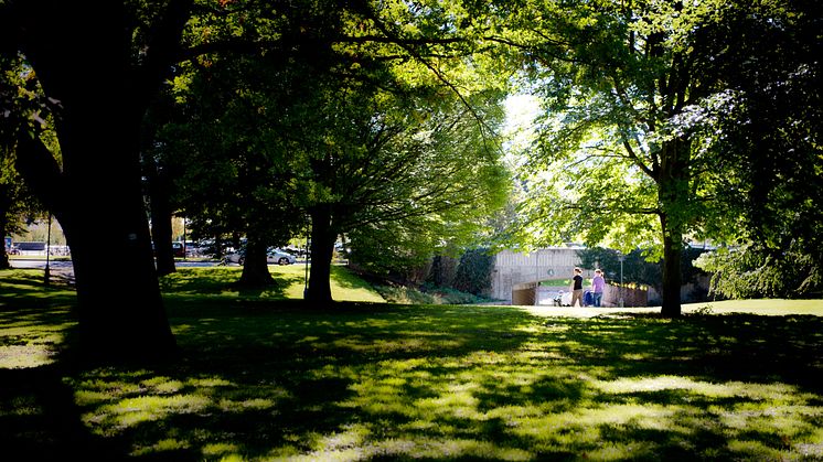 Vasaparken i Västerås är en av många platser som betyder något för många. Vad tycker du?