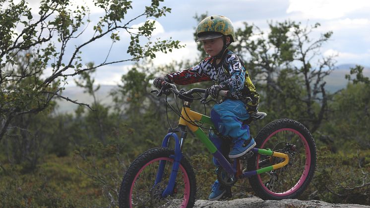 Stigcykling i Lofsdalen 04_Emil Sergel