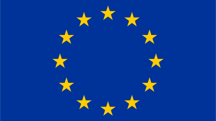 Expertlista om EU-valet 26 maj 2019