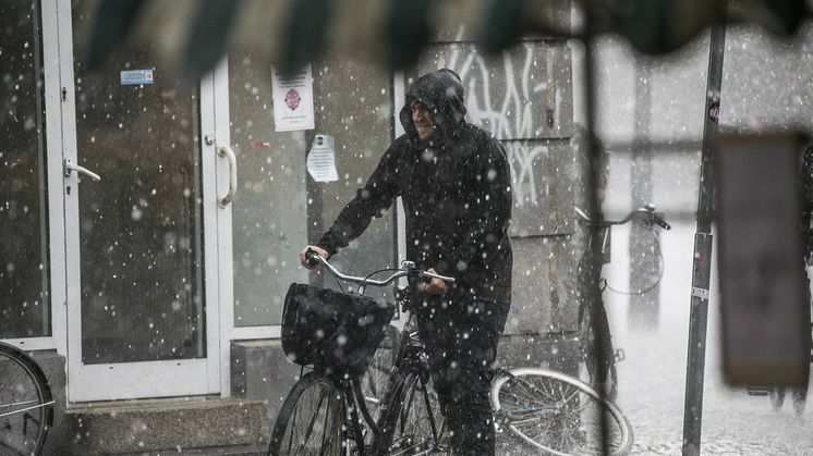 2017 har varit ett extra vått år