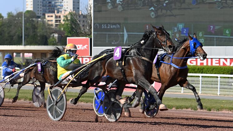 Vivid Wise As är inbjuden till Elitloppet 2021 efter gårdagens seger i Prix de l'Atlantique. Foto: Gerard Forni