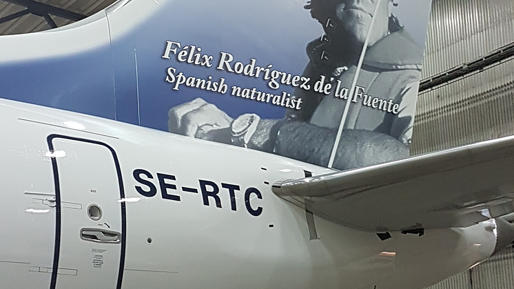 Rodríguez de la Fuente - Boeing 737 MAX 8 - detalle babor 2