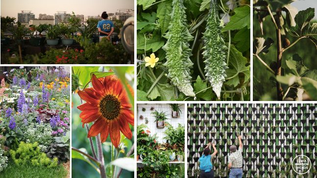 Elmia Garden Trends 2022 | Grönskande stad | Växter ute