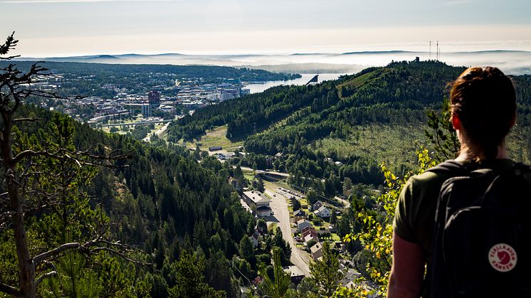 Höga Kusten arrangerar VM i orientering 2029