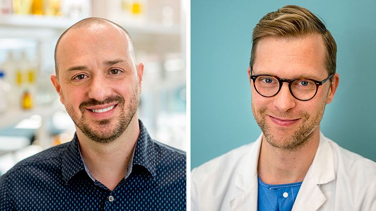 De nya forskargruppsledarna Helder André och Gustav Stålhammar. Foto: Jens Sølvberg