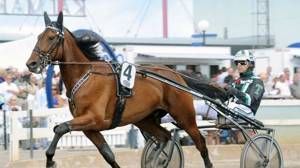 Sanity inbjuden till Elitloppet 2012