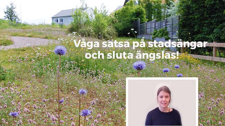 ”Våga satsa på stadsängar och sluta ängslas"