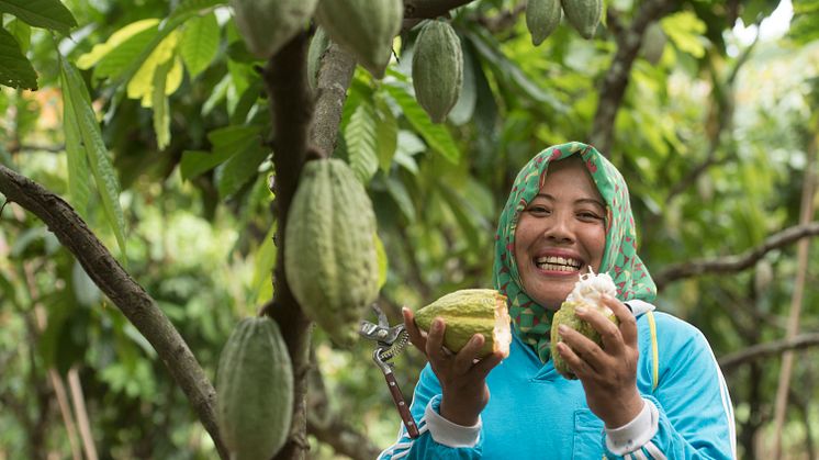El programa ‘Cocoa Life’ de Mondelēz Internacional empodera a agricultores y comunidades de Indonesia