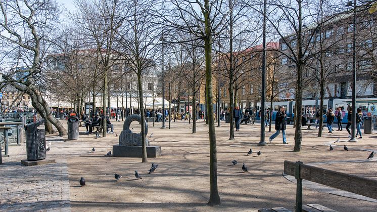 Upprustningen av Brunnsparken startar i mitten av mars. Till försommaren 2020 ska den vara klar. Foto: Peter Svensson