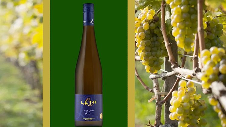 Nyhet – Weingut Leth lanserar Leth Riesling Selection i alla butiker 1 september 2022