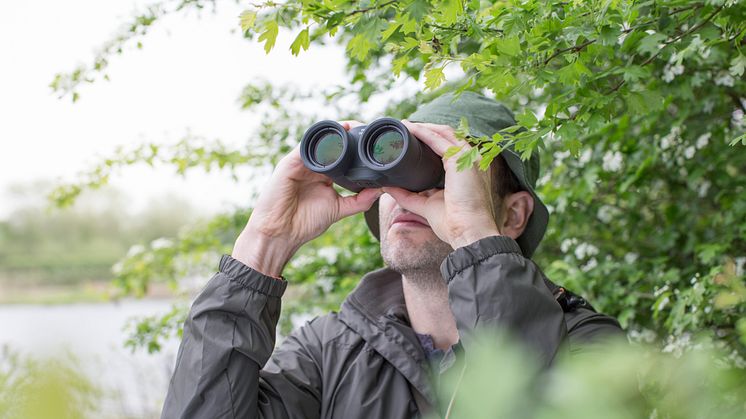 Kaikissa Canonin lintukiikareissa on tarkka optiikka ja optinen kuvanvakain