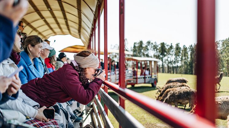 De utländska turisterna har denna sommar ökat med 8 % i Jönköpings län. Foto: Svea Landschoof