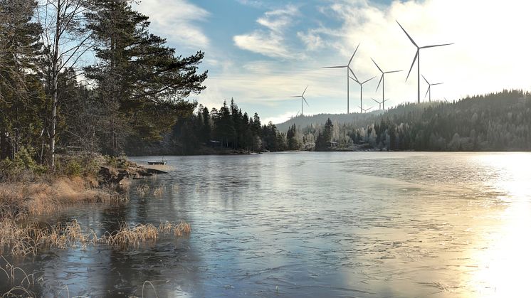 Ny, norsk medeier i Odal Vindkraftverk