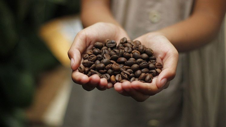 Kaffebönor finns i olika sorter