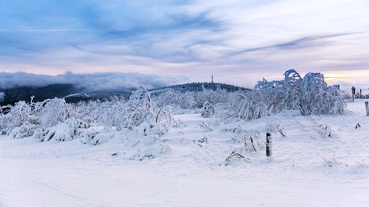 Winterlandschaft auf dem Fichtelberg (Foto: TVE/Bernd März)