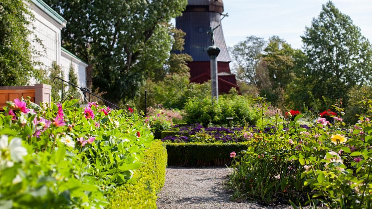 Specialvisning: Sensommarblom i parken