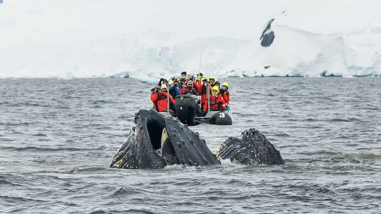 HX (Hurtigruten Expeditions) Sets New Sustainability Benchmarks with Largest-ever 'Season of Science’ in Antarctica 