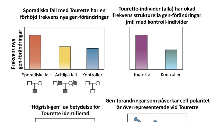 Genförändringar vid Tourettes syndrom