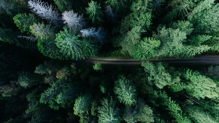 Nya regler ger solidaritet vid kris i naturgasförsörjningen