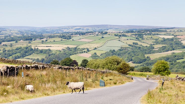 Stay Safe on Britain’s Scenic Routes: Essential Tips for Motorcycle Riders 