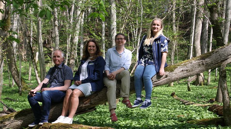 Bengt Strandqvist, Elin Axelsson, Maria Thorell och Jenny Ann Fredriksson har samarbetat kring evenemanget Ramslökens dag.