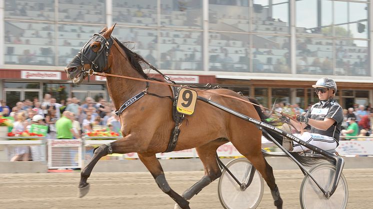 Sommartravet på Jägersro med Extra V75 och Hugo Åbergs Memorial