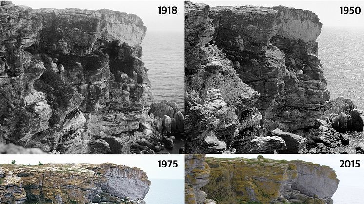 Stora Karlsö 1918, 1950, 1975 och 2015