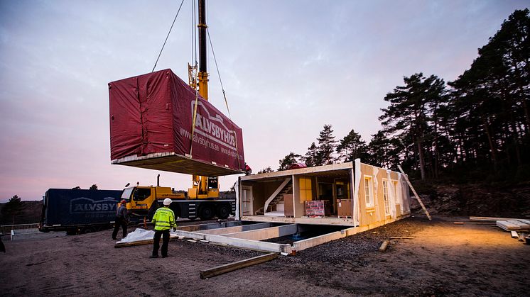 Tornerose slår opp øynene