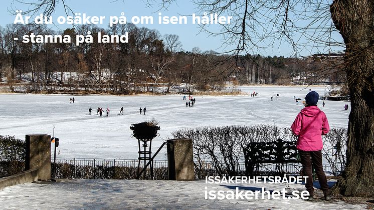 Bild PRM god jul_2021 Foto_Mats Egeberg_mostphotos.jpg