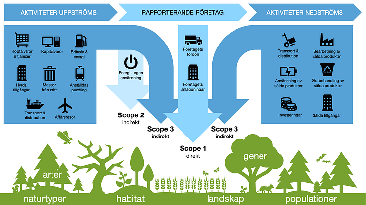 Projekt EcoComp (projektsida)