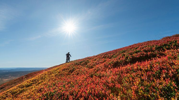 Høstfjellet er nydelig, og et perfekt tidspunkt for aktive opplevelser i naturen. Foto: Ola Matsson