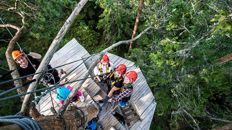 ​Little Rock Lake Zipline i Småland får högsta betyg