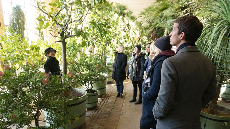 Pflanzenhalle im Orangerieschloss, Foto: SPSG/Orangerieschloss_Pierre Pasler