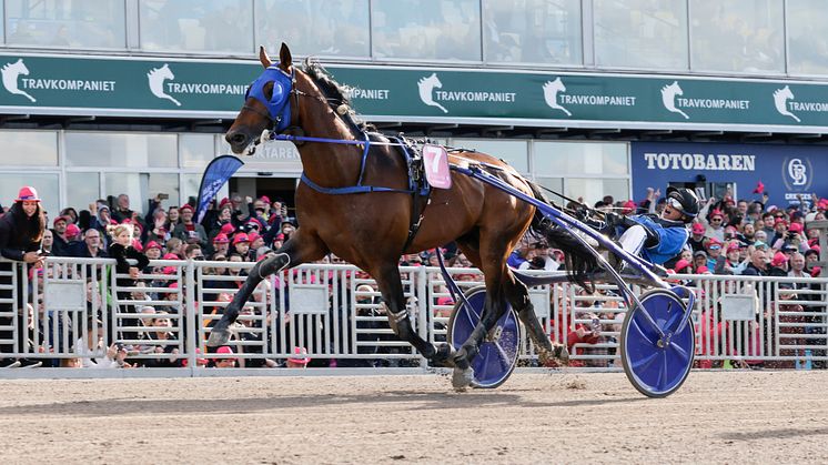 Franske styrkefenomenet Etonnant vann Elitloppet 2022. Foto: TR Bild