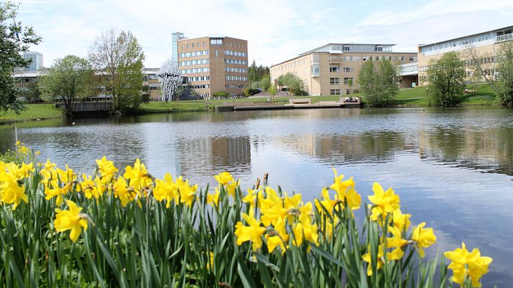 Campus Umeå, Umeå universitet