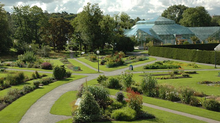 Nu står växterna i Bergianska trädgården enligt aktuell forskning