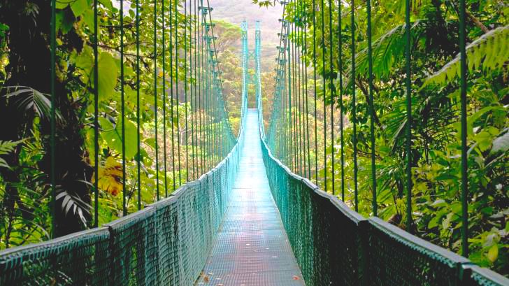 Costa Rica och promenad på hängbro i Arenal Volcano Nationalpark