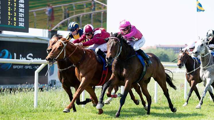 Nationaldagsgaloppen 2019