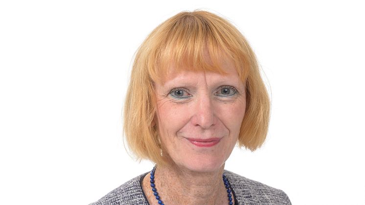  Professor Lisa Rydén