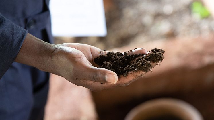 Hand with soil (Photo: Philip Wilson)