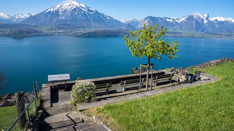 Aussichtspunkt in Sigriswil mit Blick auf Thunersee und Niesen © Interlaken Tourismus