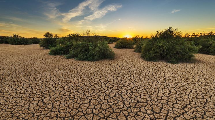 2019-09-02 Seminar on Climate Change and Land