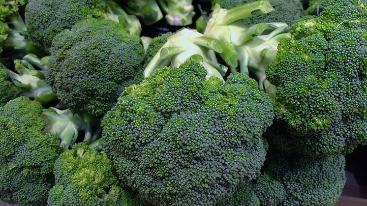 Broccoli skyddar mot diabetes