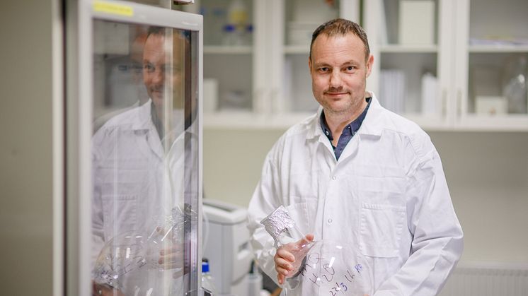 Niklas Arnberg, professor vid Institutionen för klinisk mikrobiologi, Umeå universitet. Foto: Mattias Pettersson.