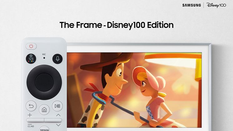The Frame-Disney100 Edition _03