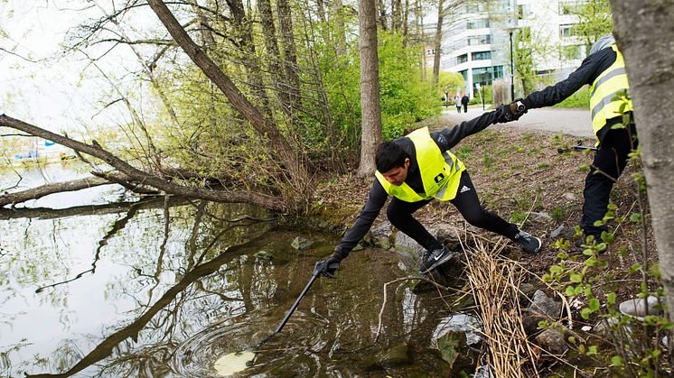 Så här såg det ut när Solna Strand städades 2017. Foto: Linnéa Rheborg