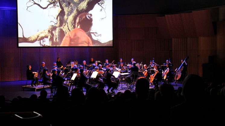Gävle Symfoniorkester spelar för 2 500 mellanstadieelever