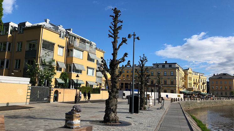 Nu blir Museigatan halkfri och omlagd